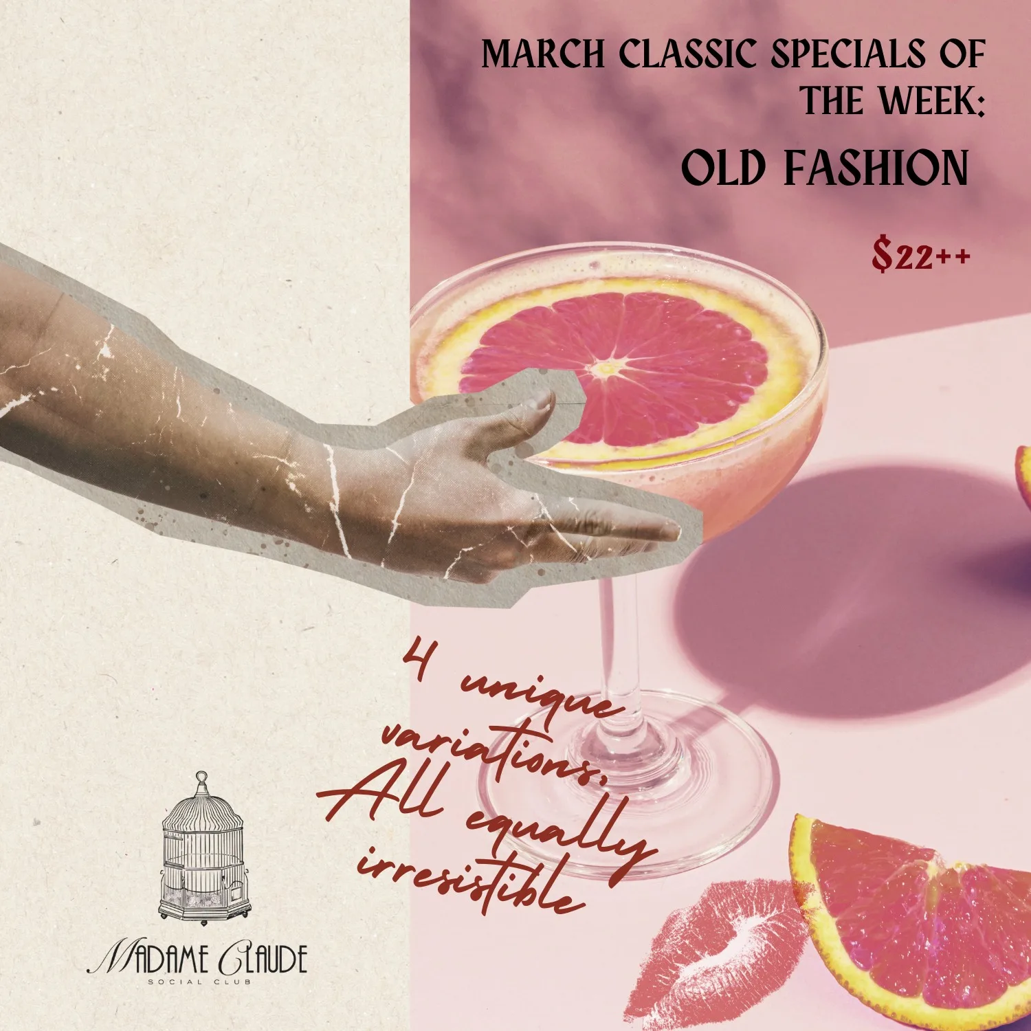 WhatsApp Image 2026-02-21 at 18.08.02